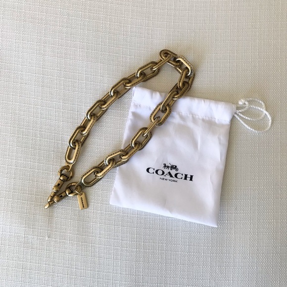 Coach Chunky Chain Link Strap In Brass - Picture 15 of 15
